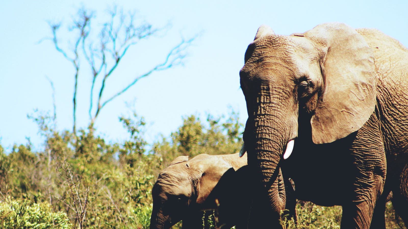 Discover the Unseen Beauty